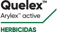 Quelex logo